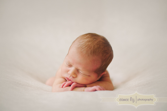fuller_130605_31