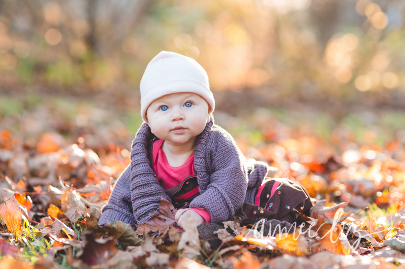 alp_141108_03