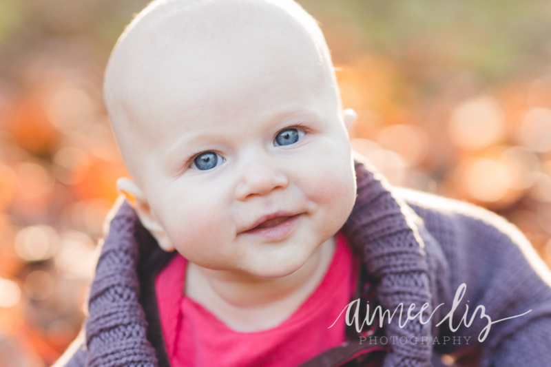 alp_141108_06