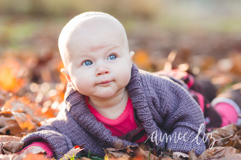 alp_141108_09