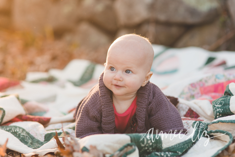 alp_141108_40