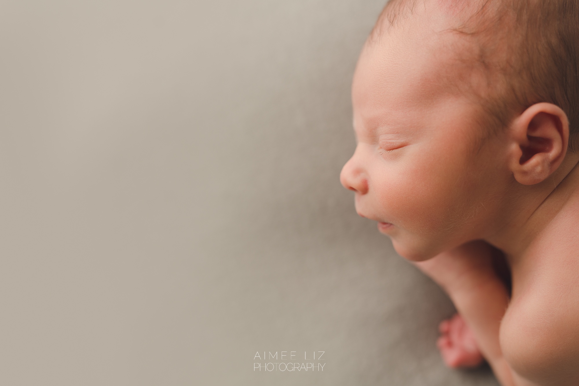 massachusetts newborn photography