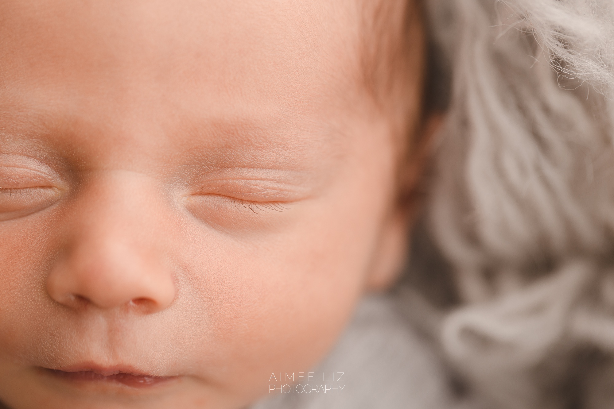 massachusetts newborn photography