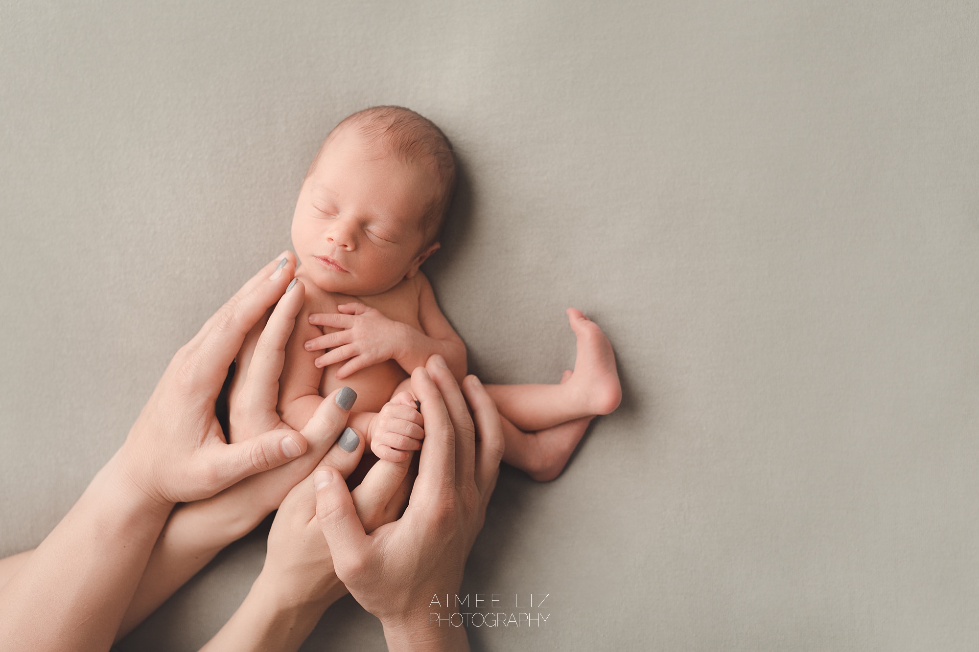 massachusetts newborn photography