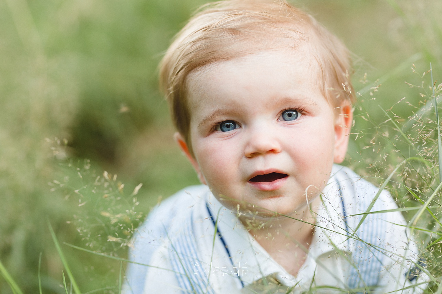 groton ma family photographer