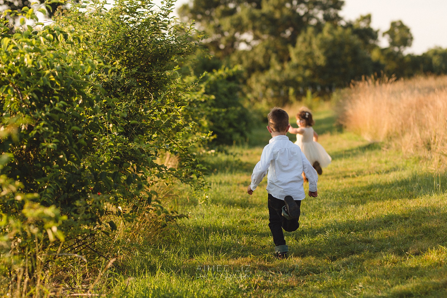 groton ma family photographer