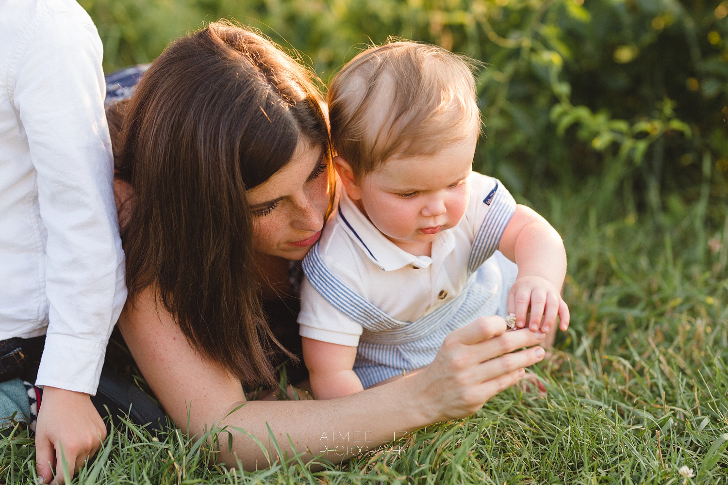 groton ma family photographer