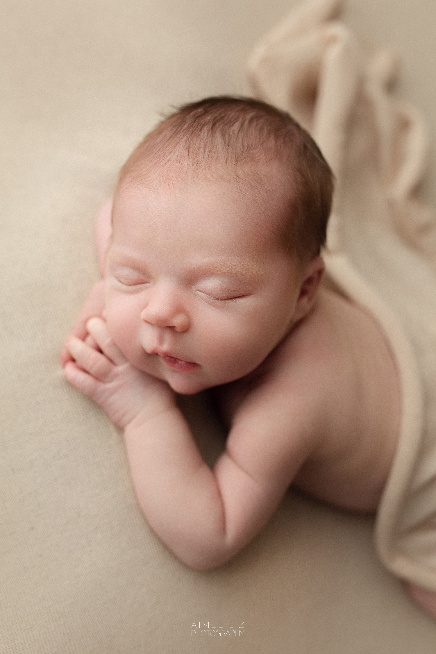 central massachusetts newborn photographer