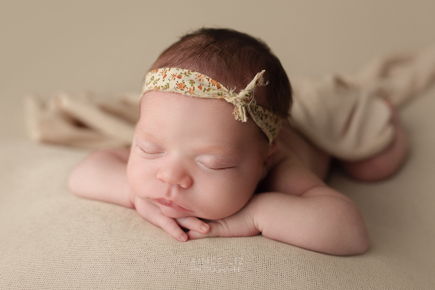 central massachusetts newborn photographer