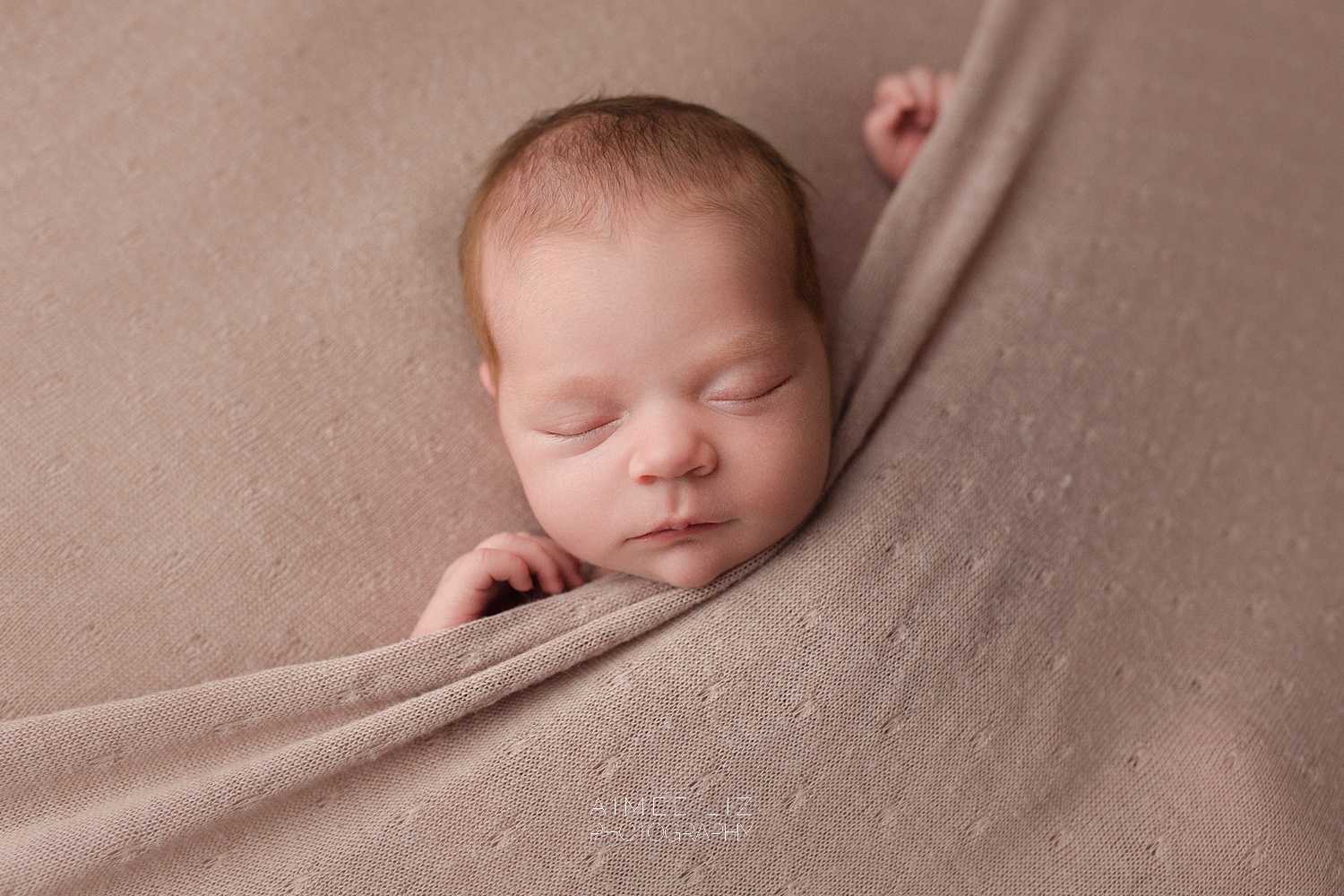 central massachusetts newborn photographer