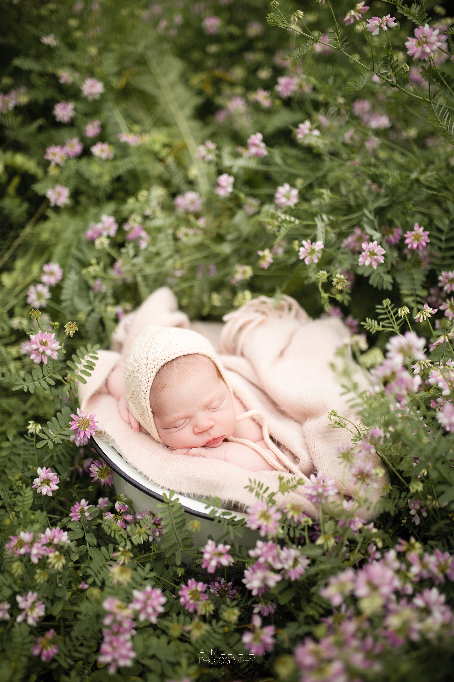 central massachusetts newborn photographer