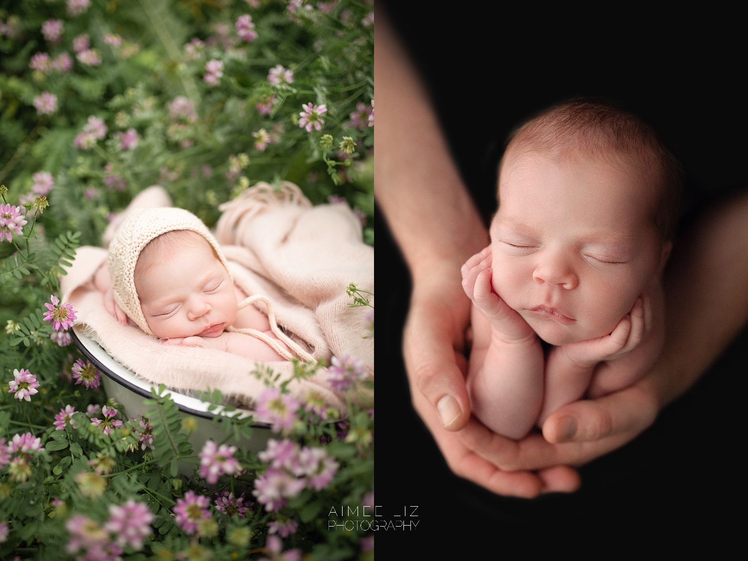 central massachusetts newborn photographer