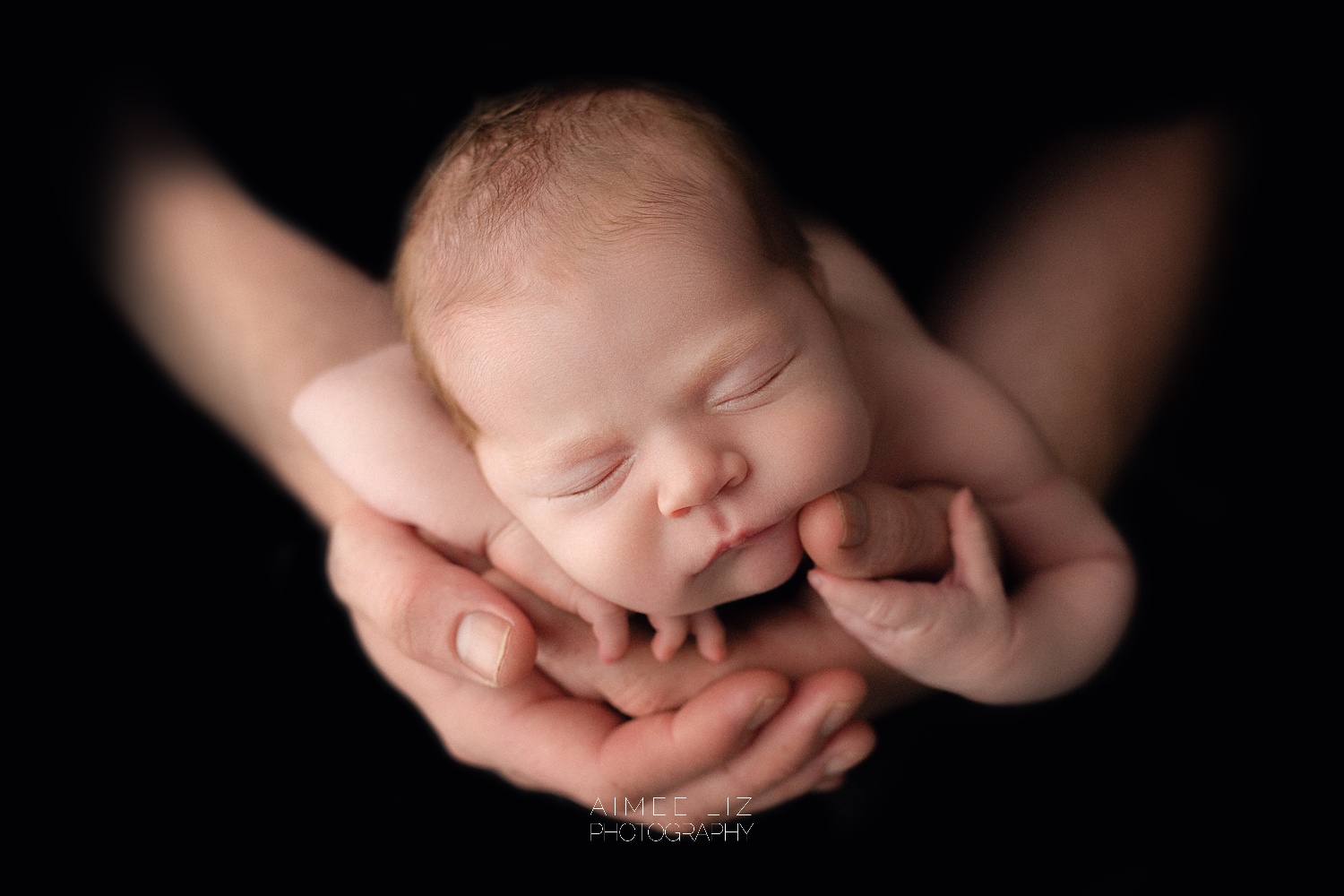 central massachusetts newborn photographer