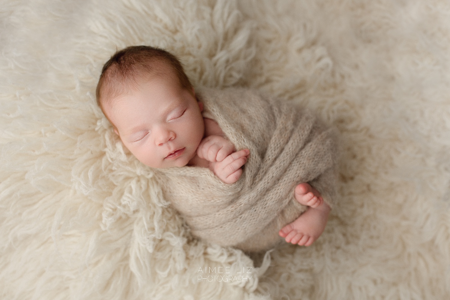 central massachusetts newborn photographer