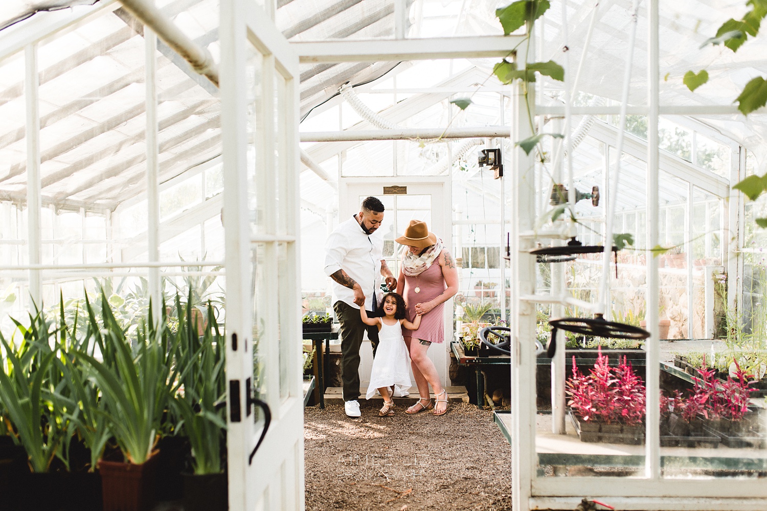 massachusetts family photographer