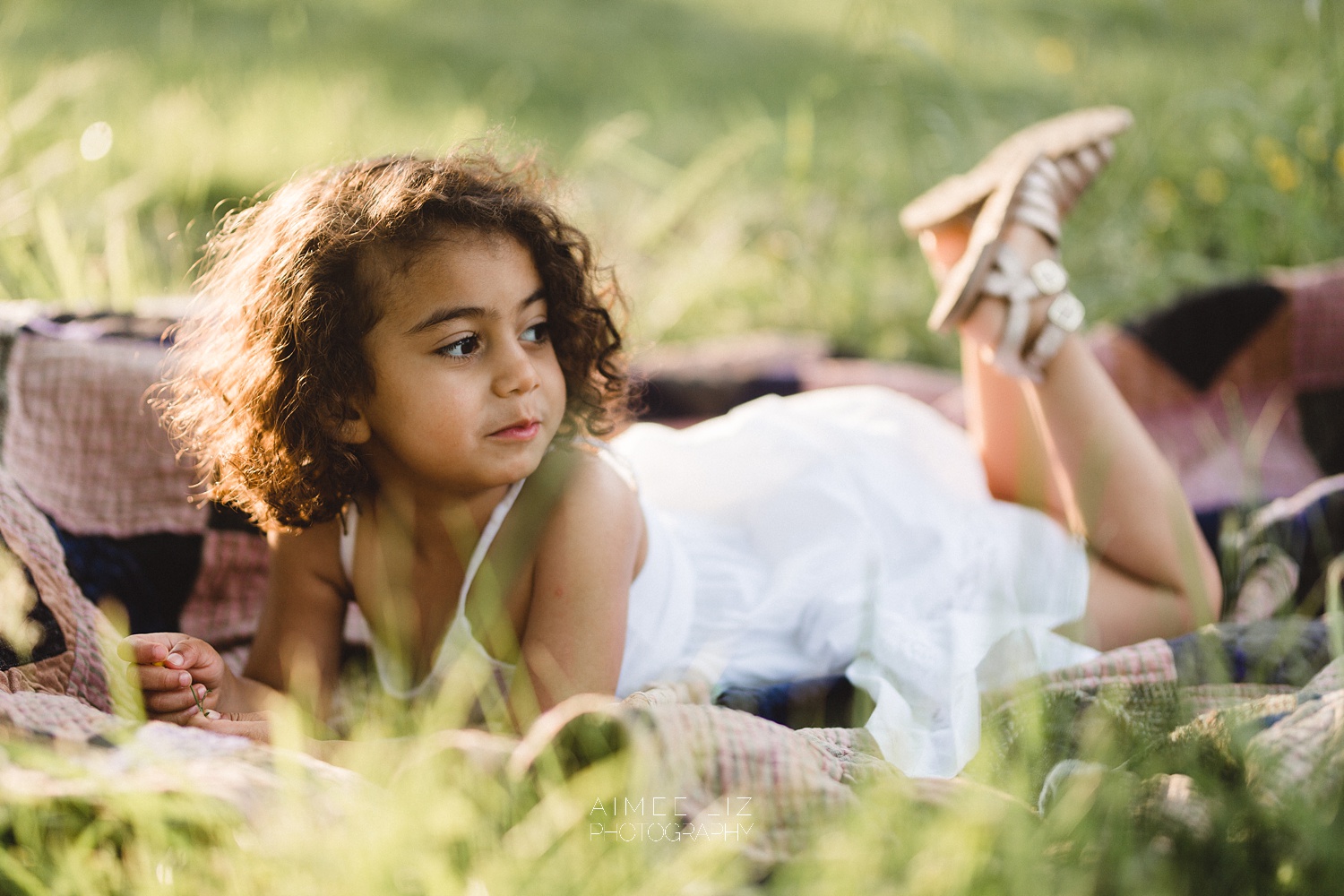 massachusetts family photographer