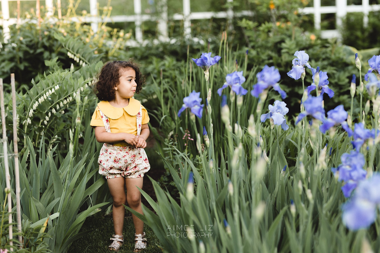 massachusetts family photographer