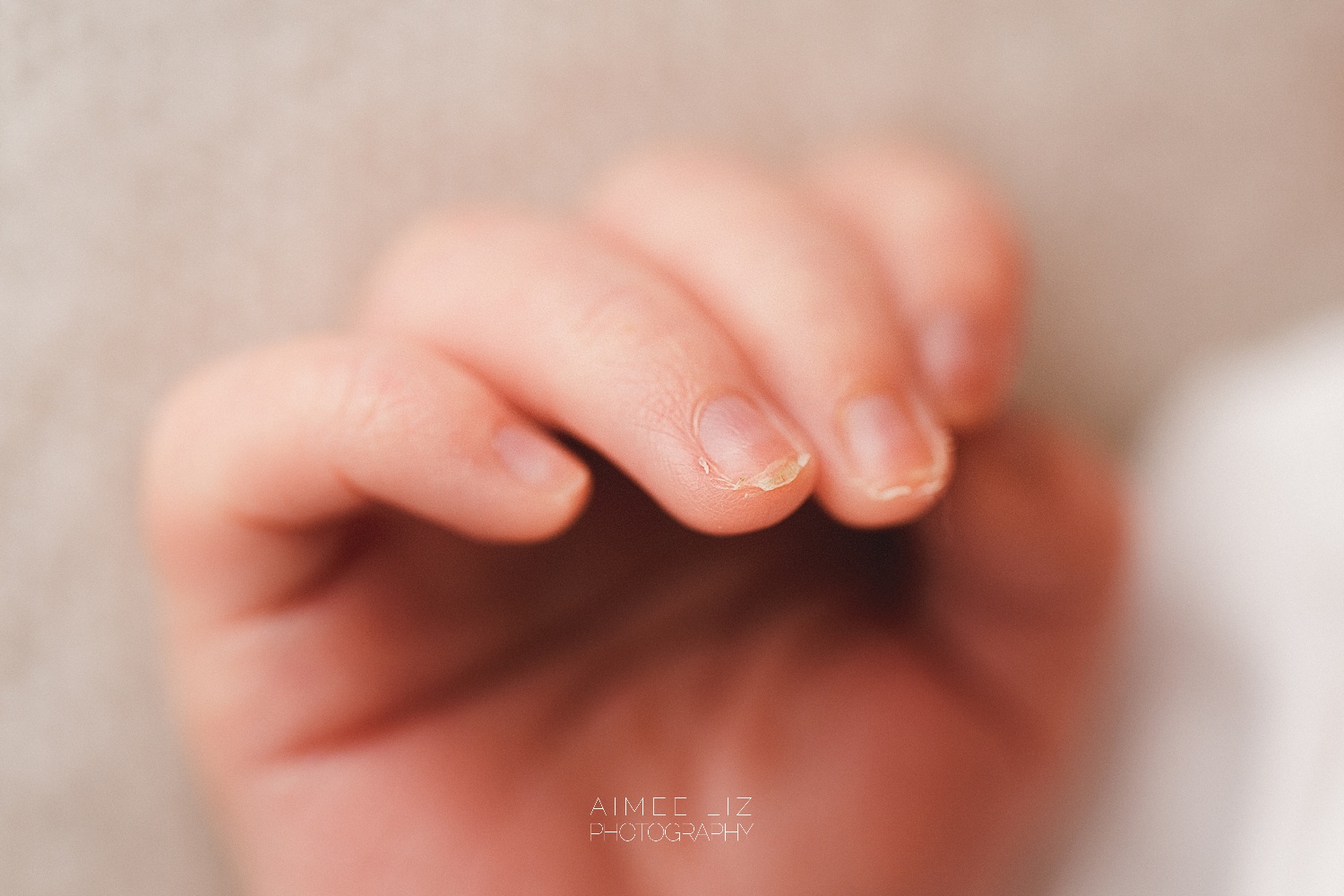 massachusetts newborn photographer