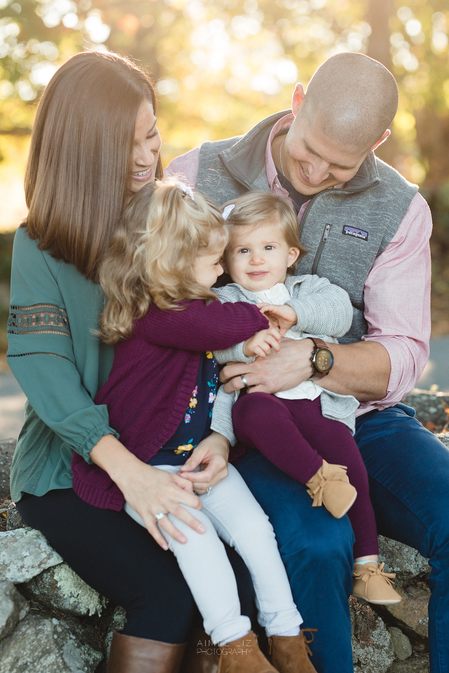 chestnut hill farm family photographer