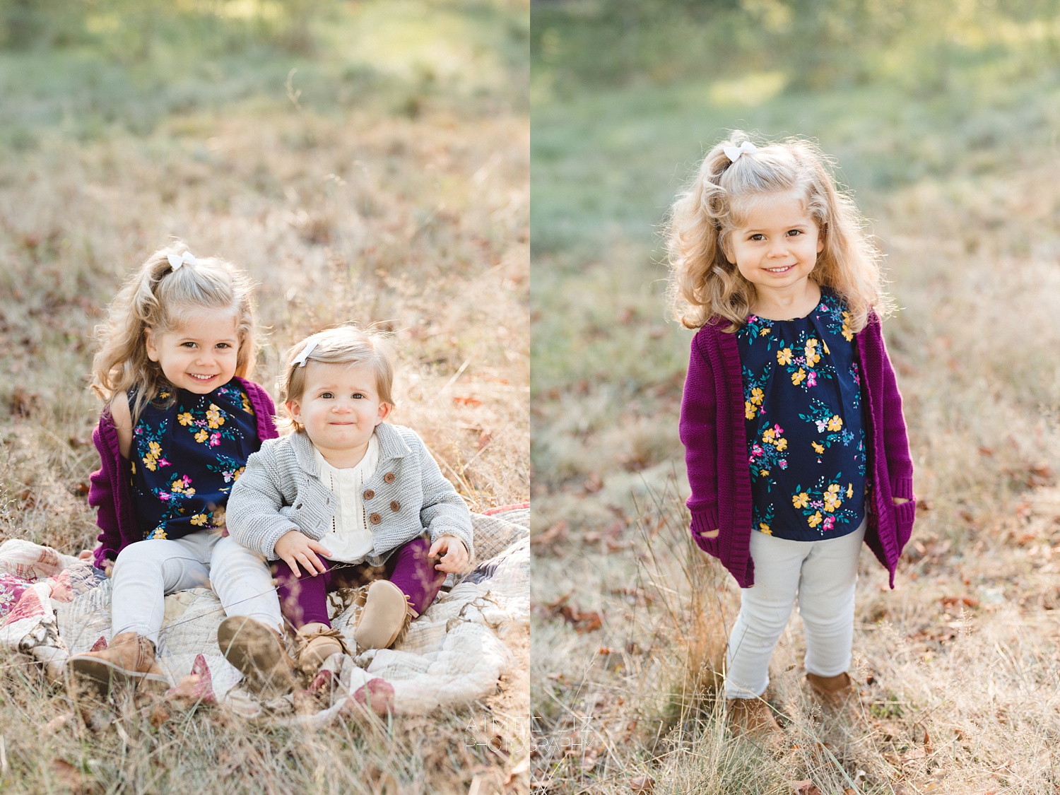 chestnut hill farm family photographer