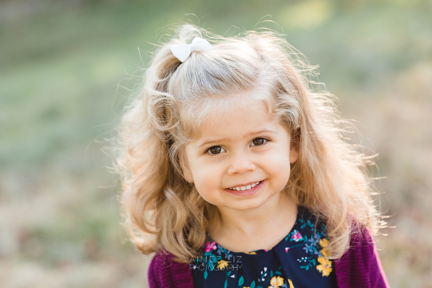 chestnut hill farm family photographer