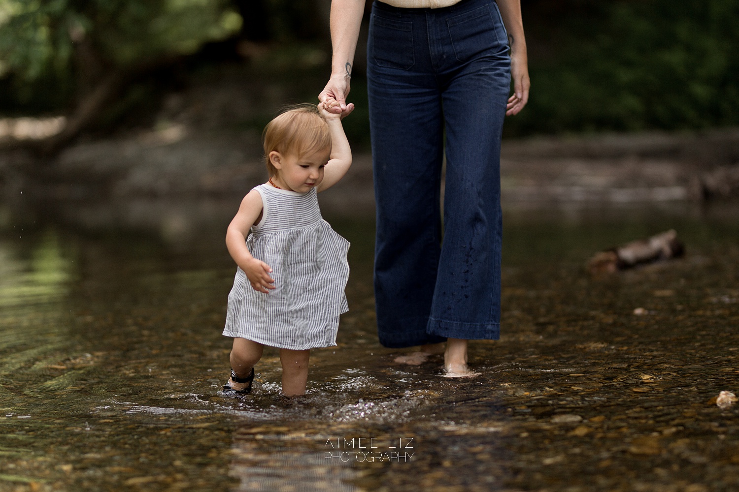 vermont massachusetts family photographer