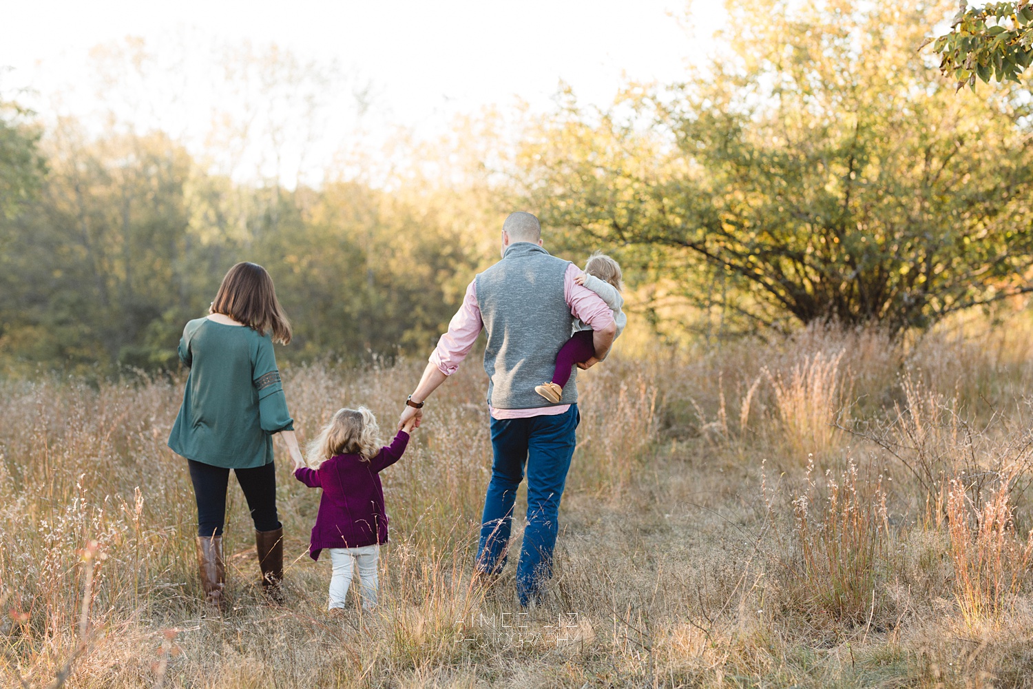 chestnut hill farm family photographer