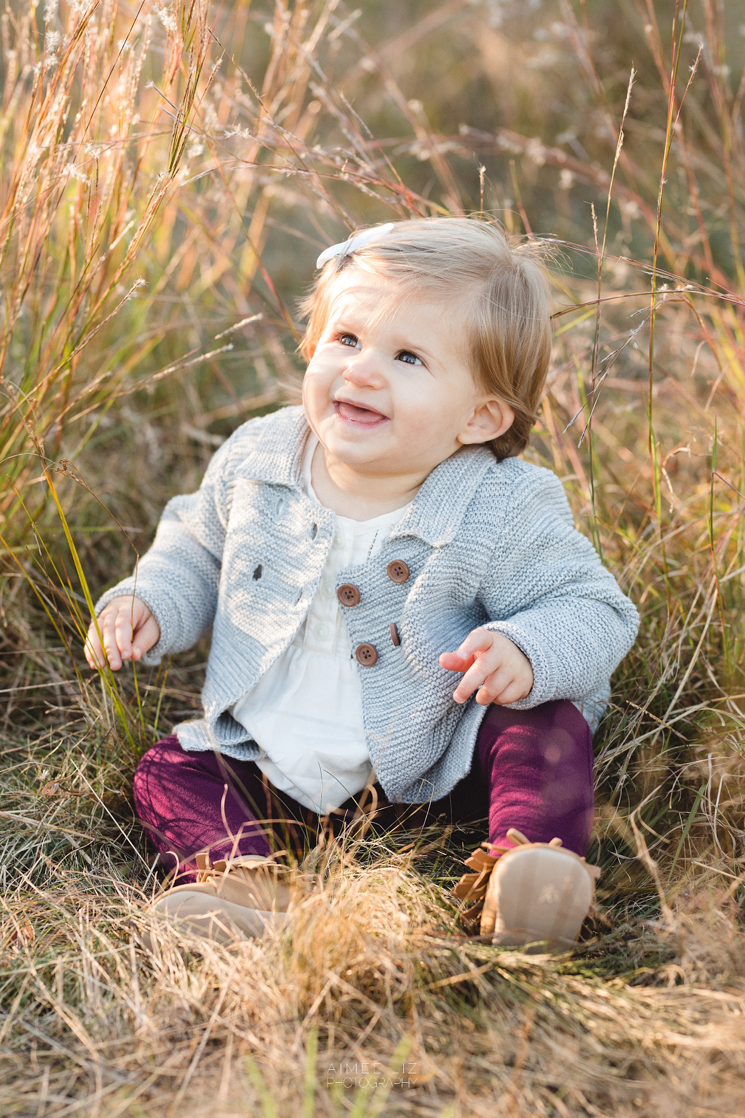 chestnut hill farm family photographer