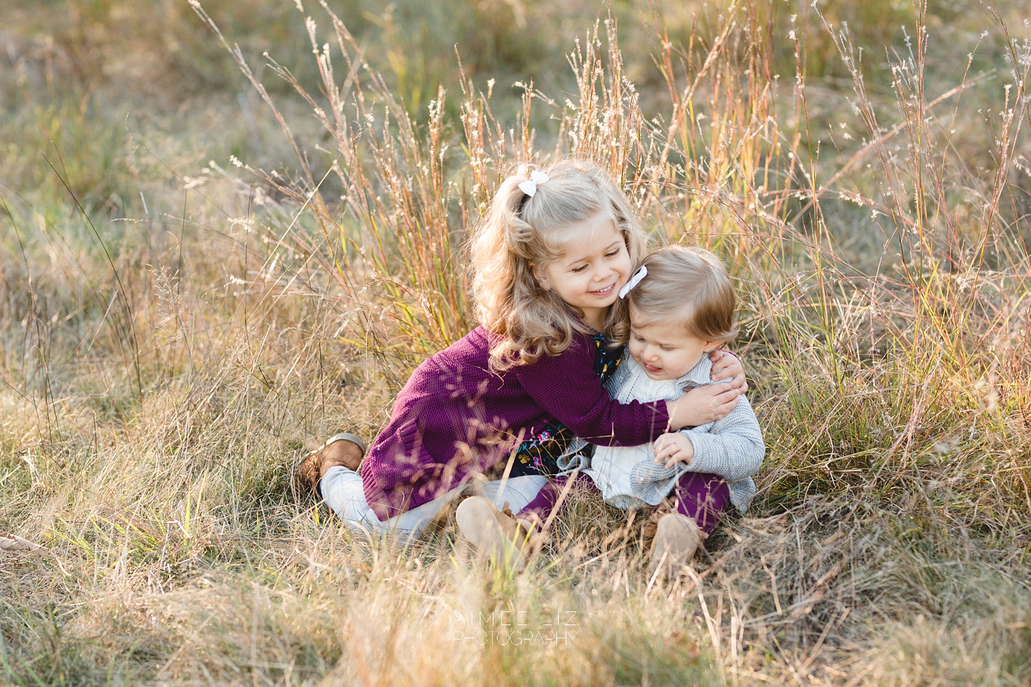 chestnut hill farm family photographer