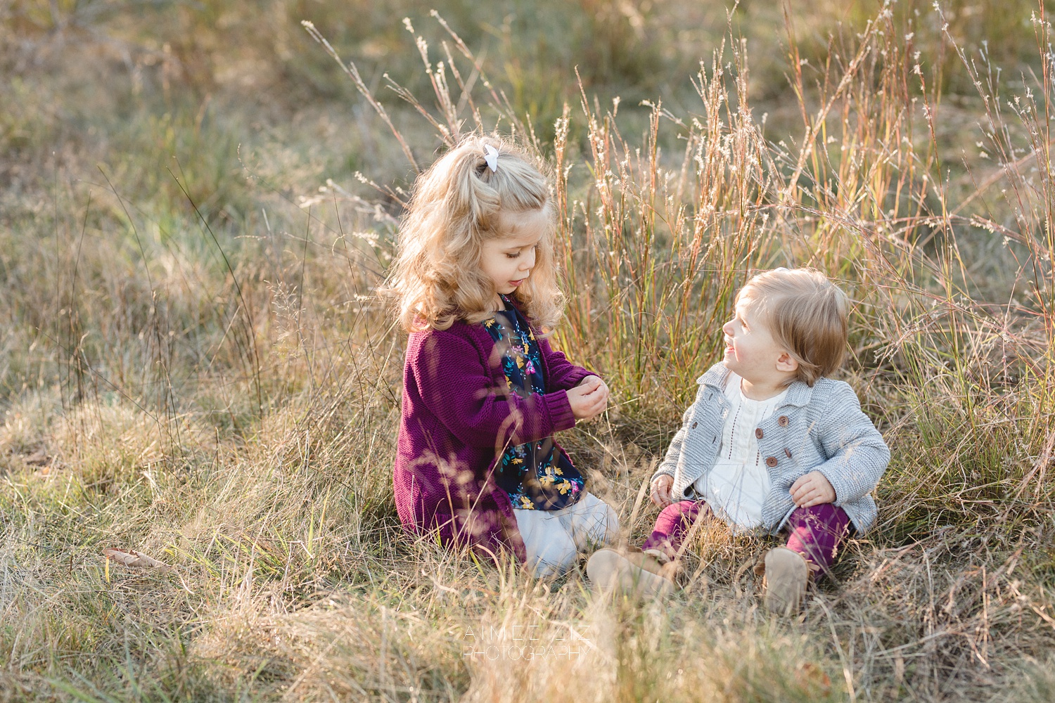 chestnut hill farm family photographer