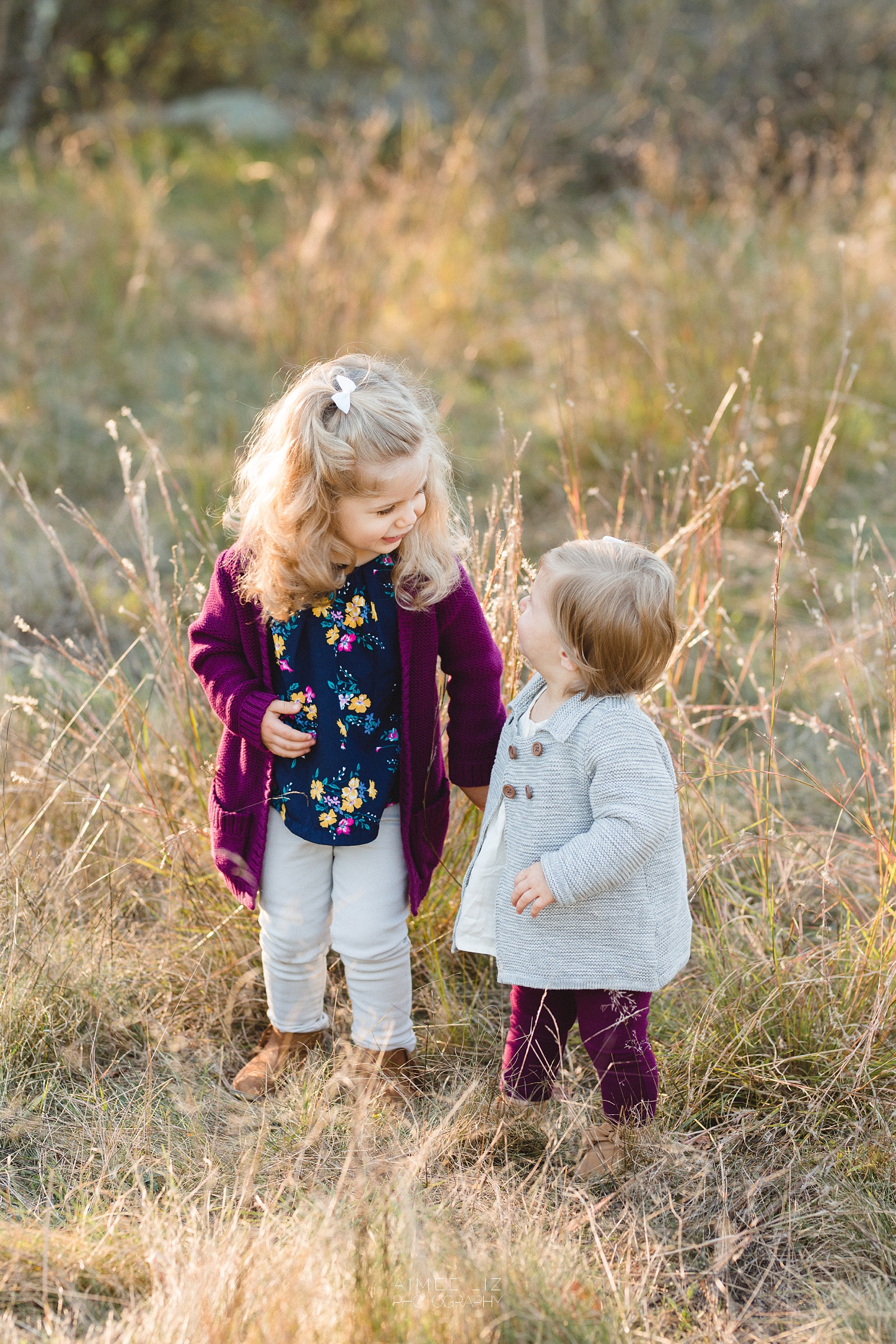 chestnut hill farm family photographer