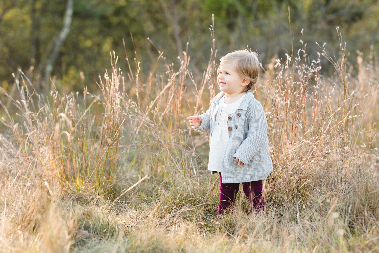 chestnut hill farm family photographer