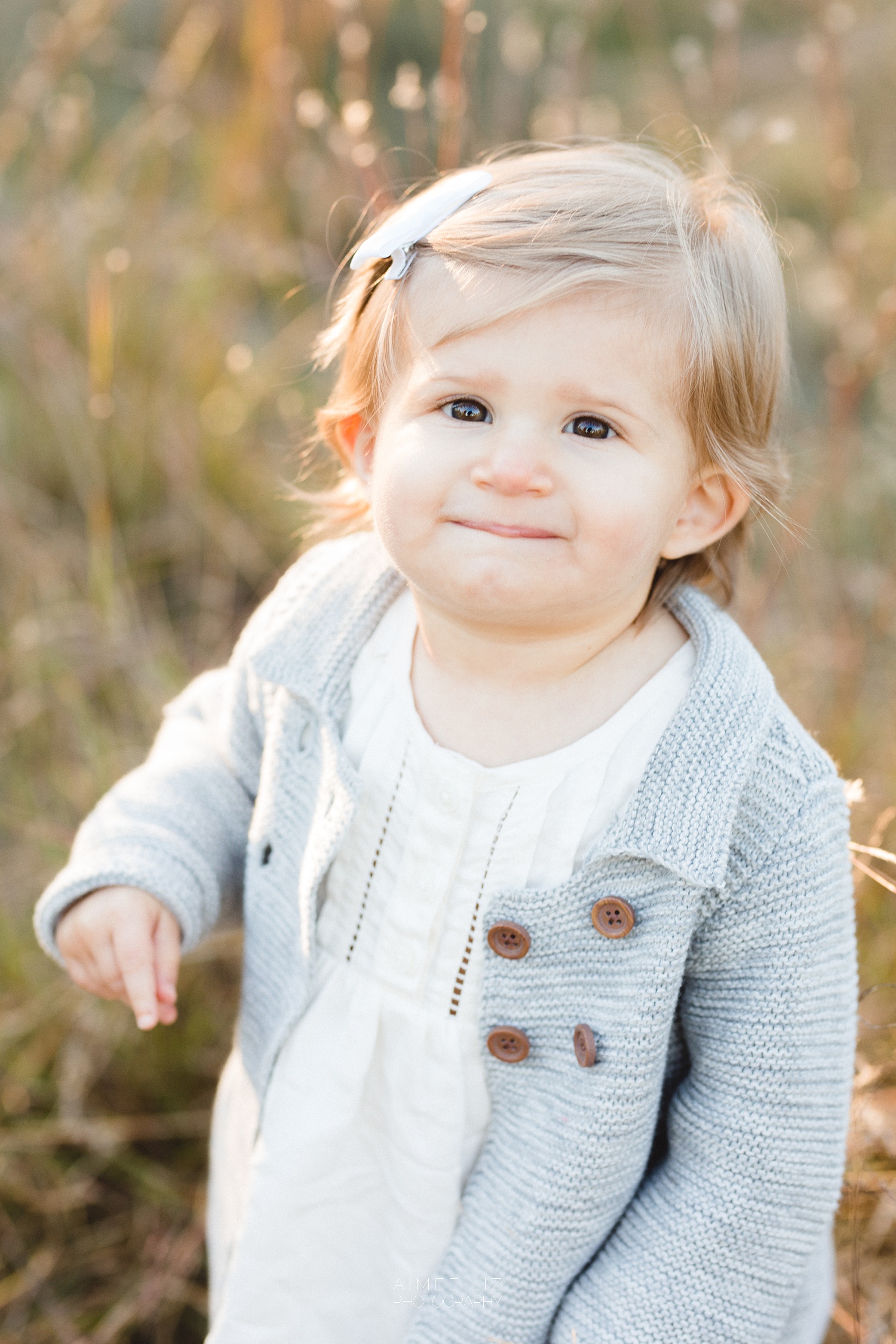 chestnut hill farm family photographer