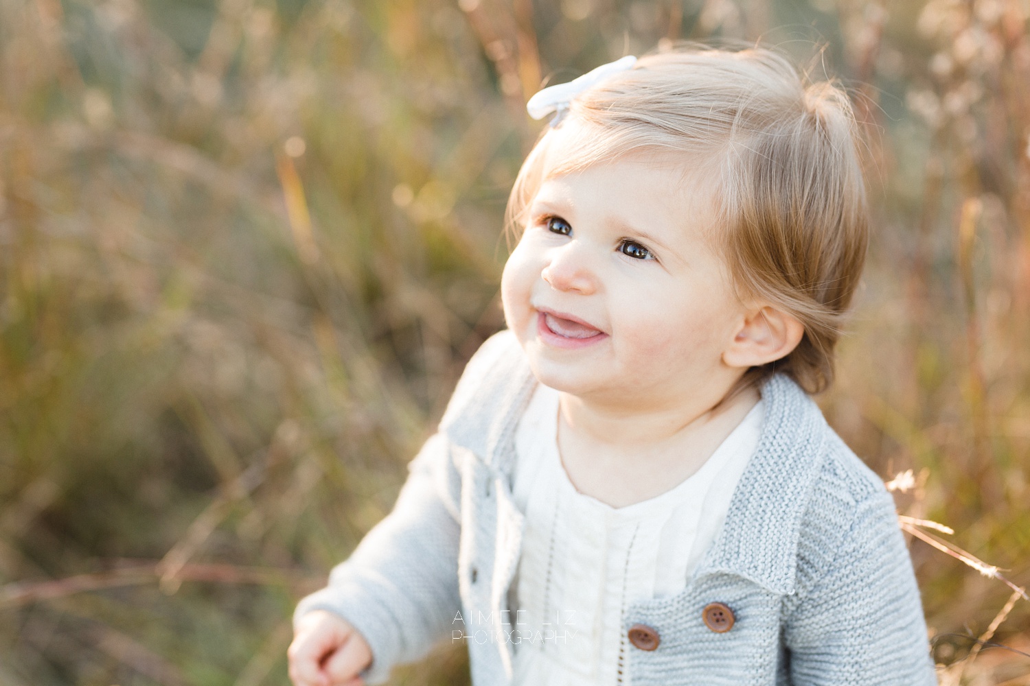 chestnut hill farm family photographer