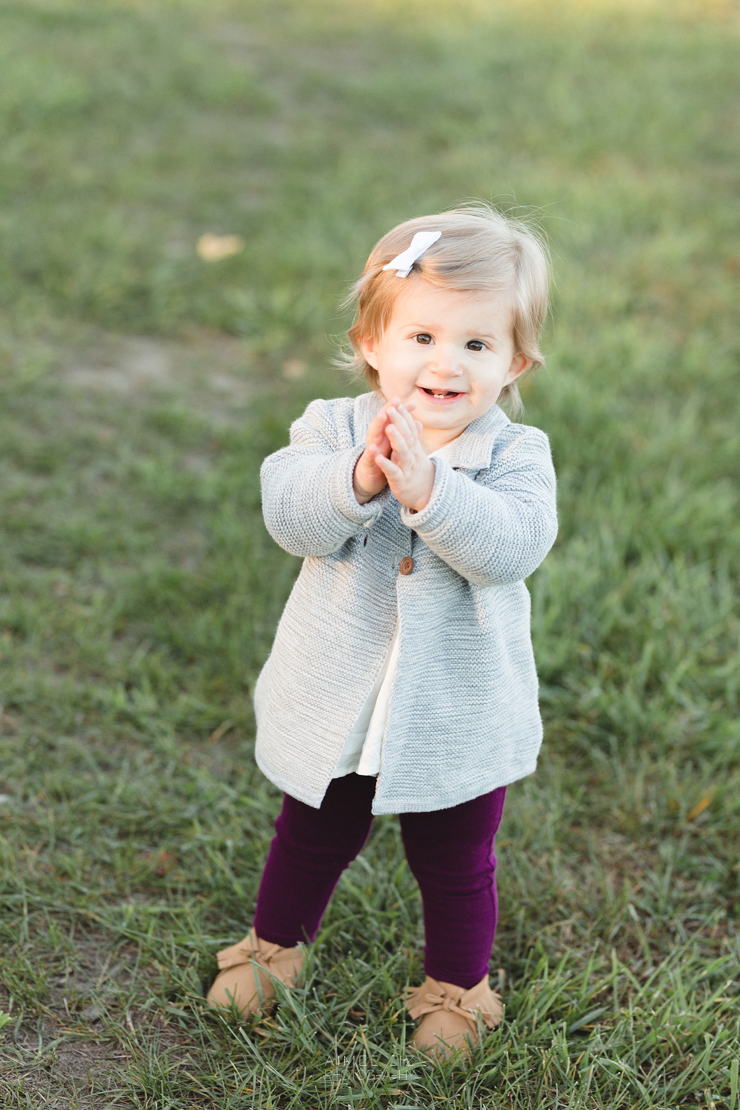 chestnut hill farm family photographer