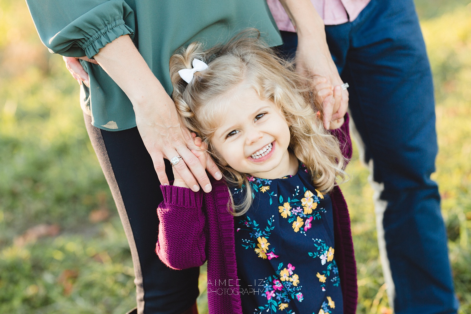 chestnut hill farm family photographer