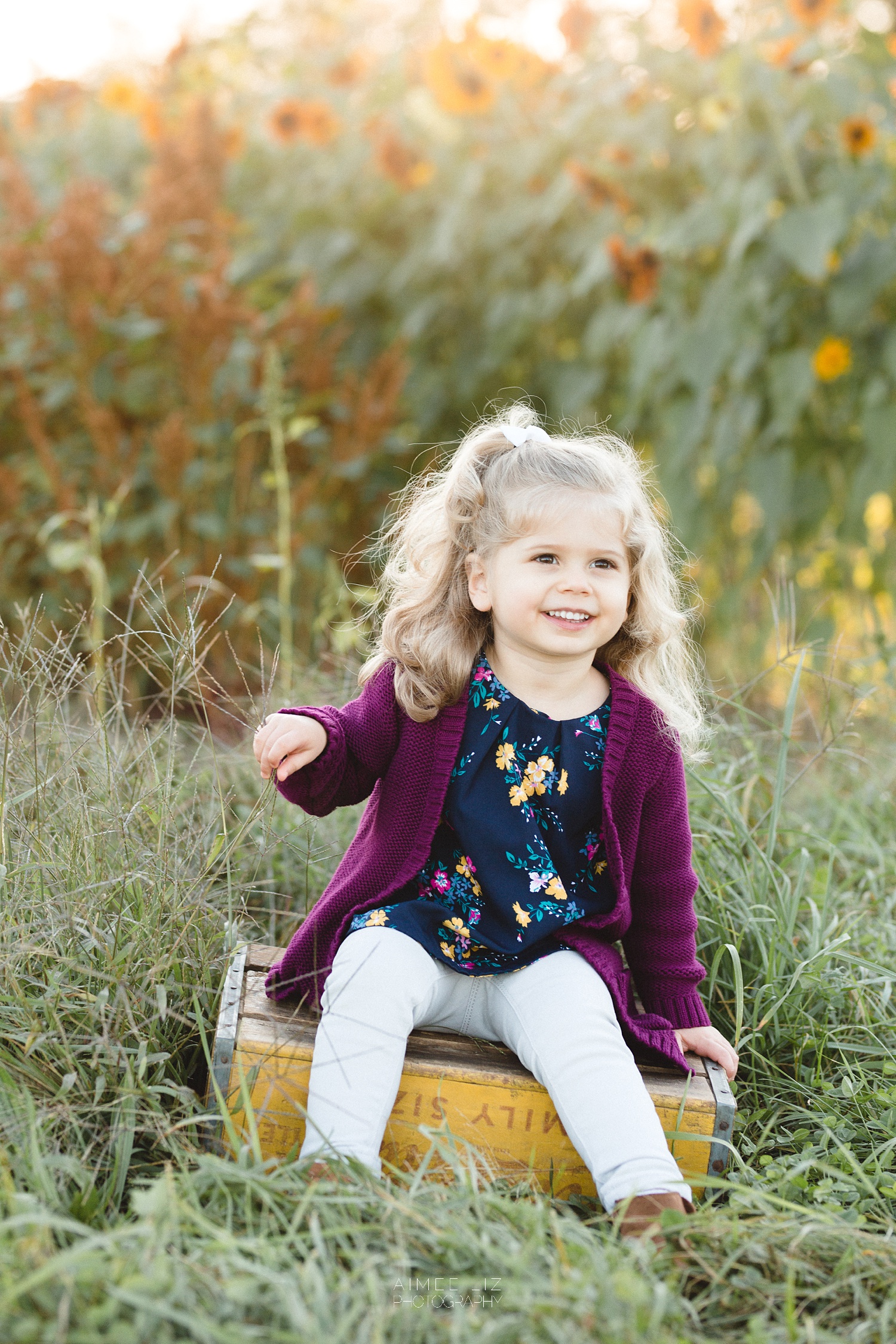 chestnut hill farm family photographer