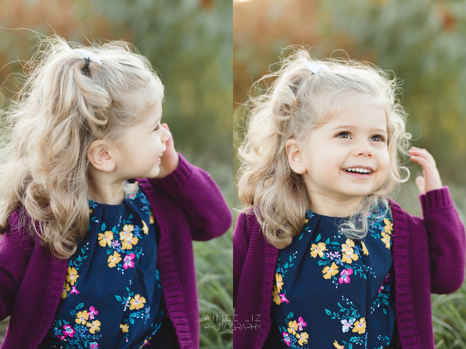 chestnut hill farm family photographer