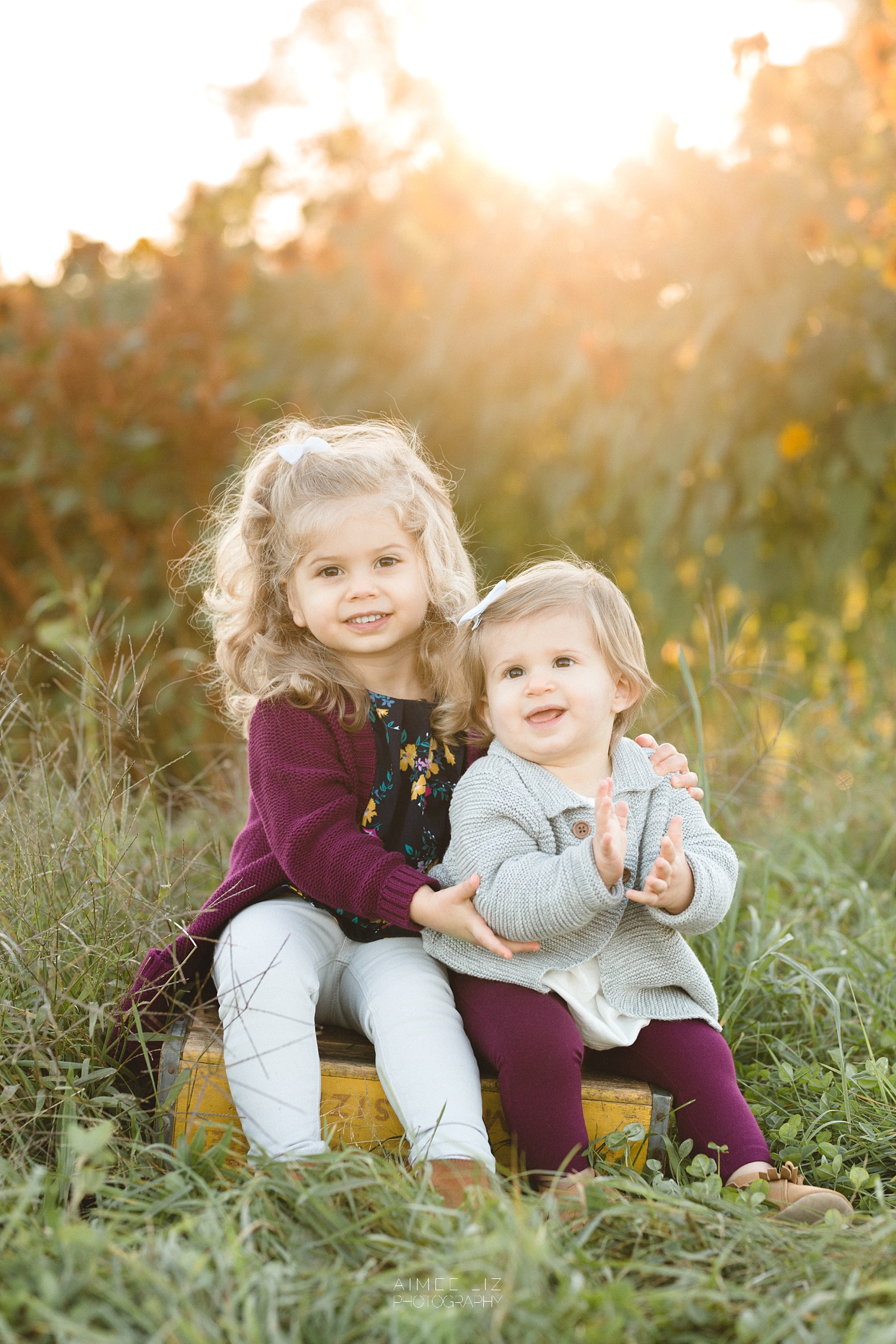 chestnut hill farm family photographer