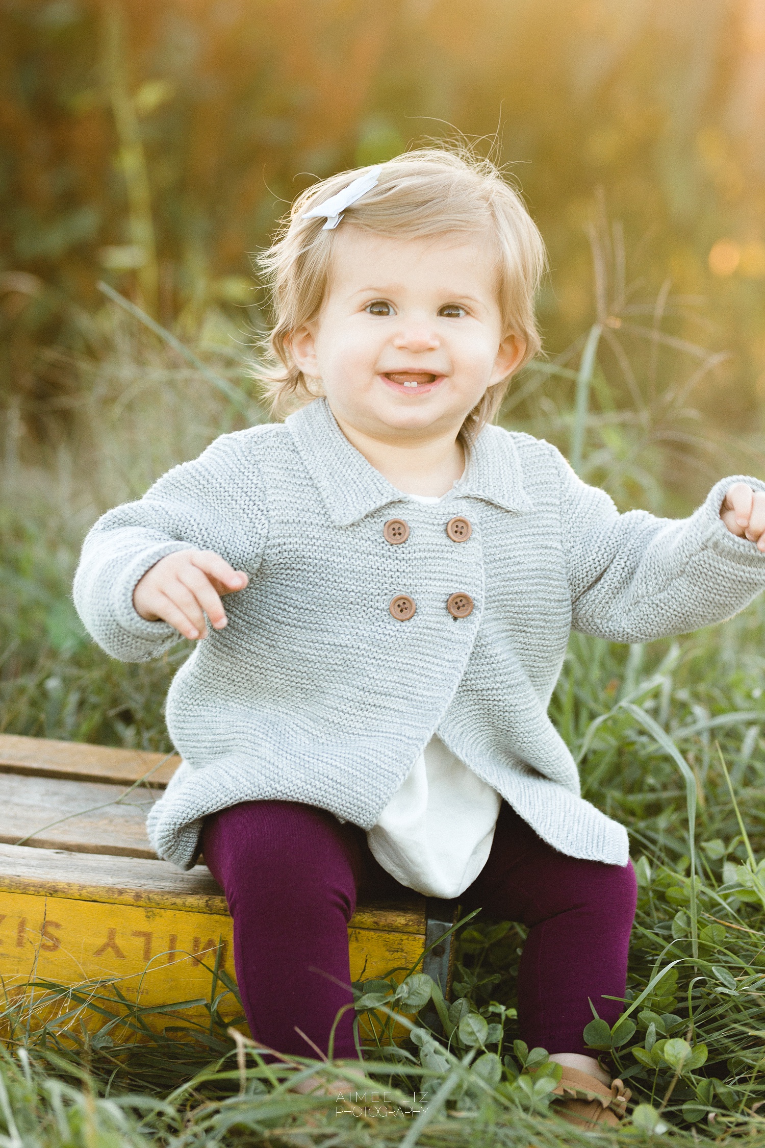 chestnut hill farm family photographer