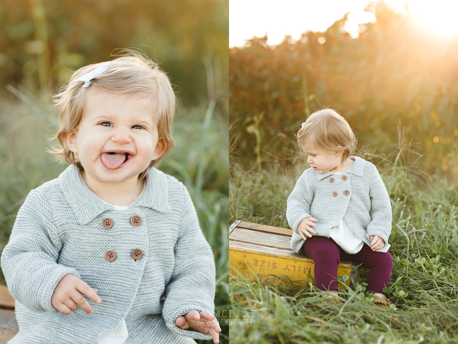 chestnut hill farm family photographer