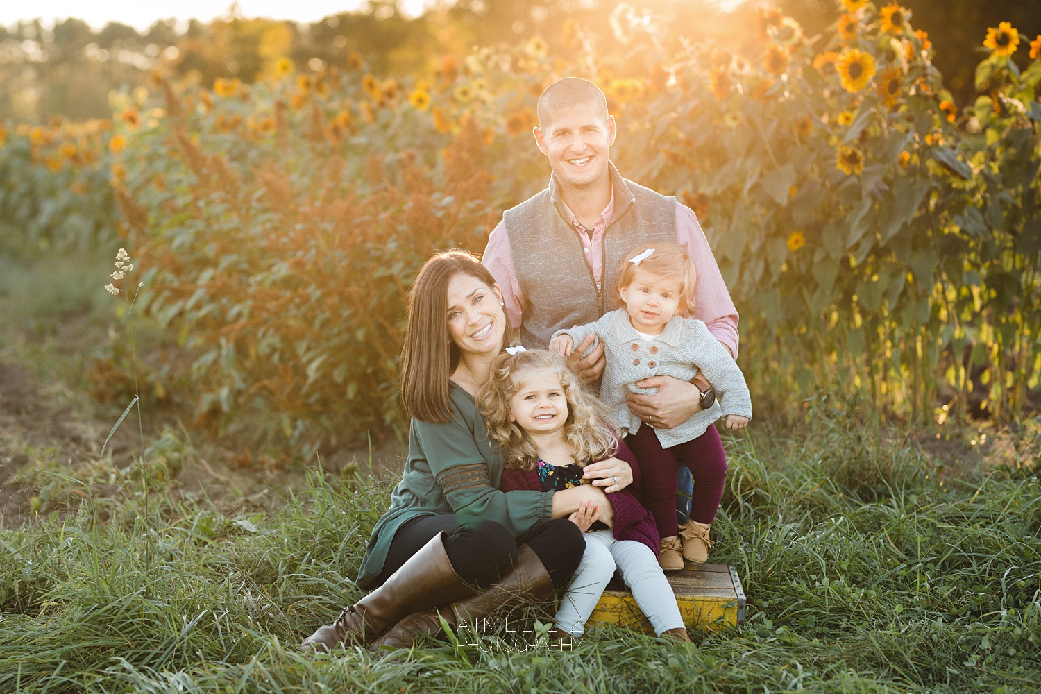 chestnut hill farm family photographer