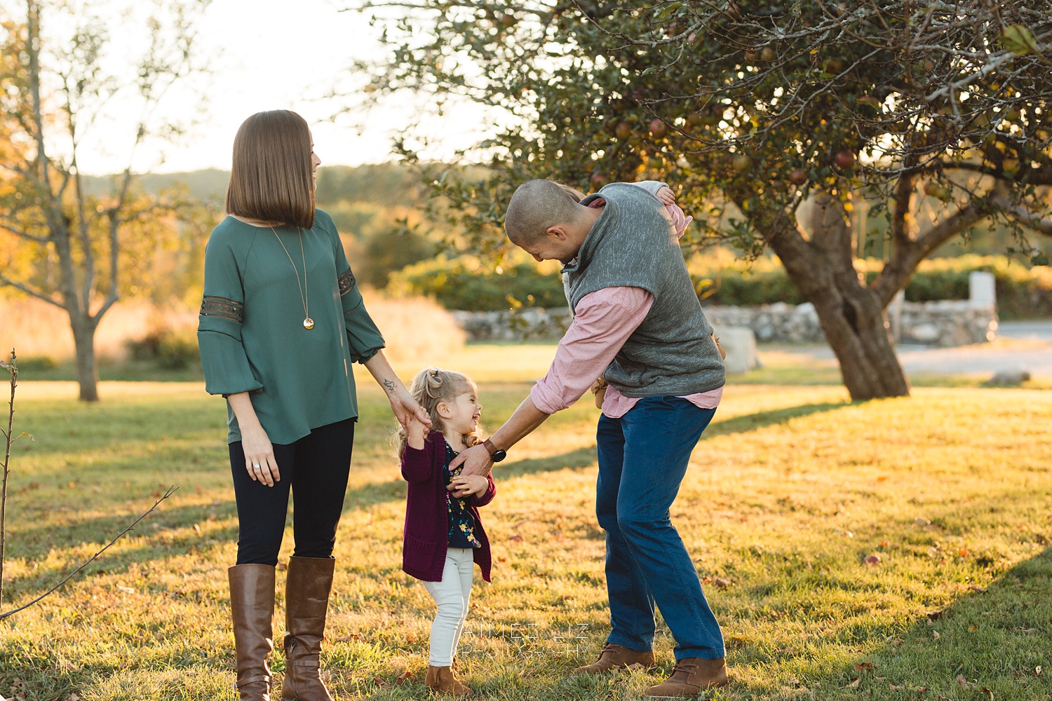 chestnut hill farm family photographer