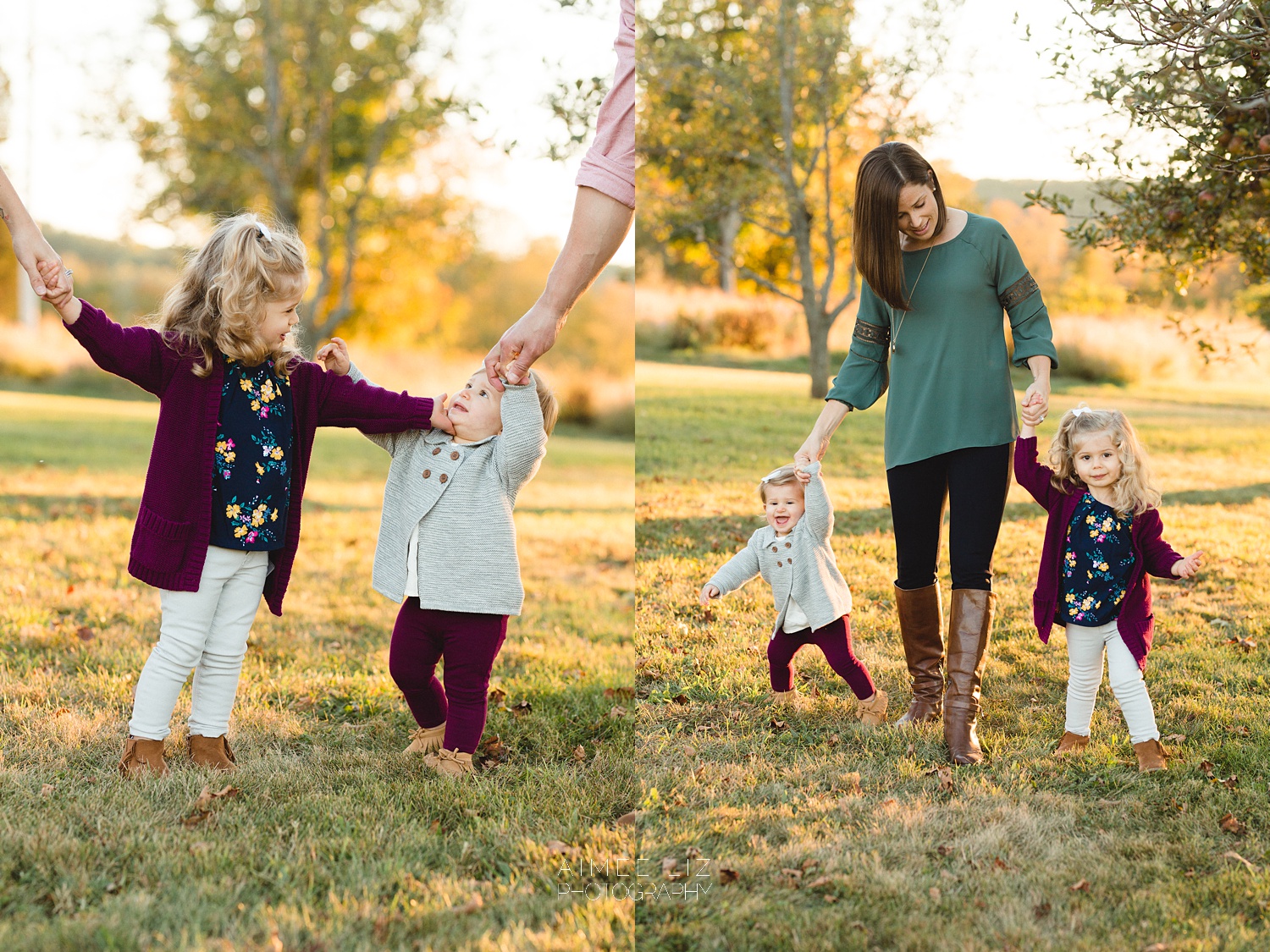 chestnut hill farm family photographer