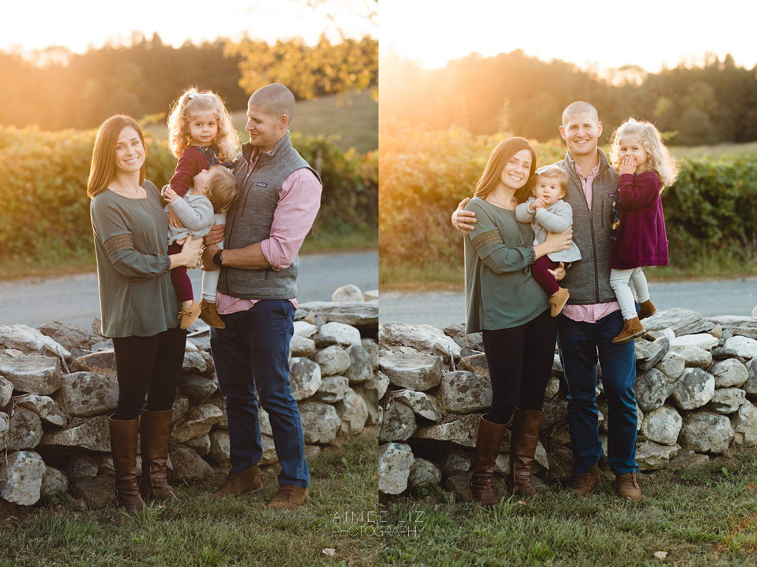 chestnut hill farm family photographer