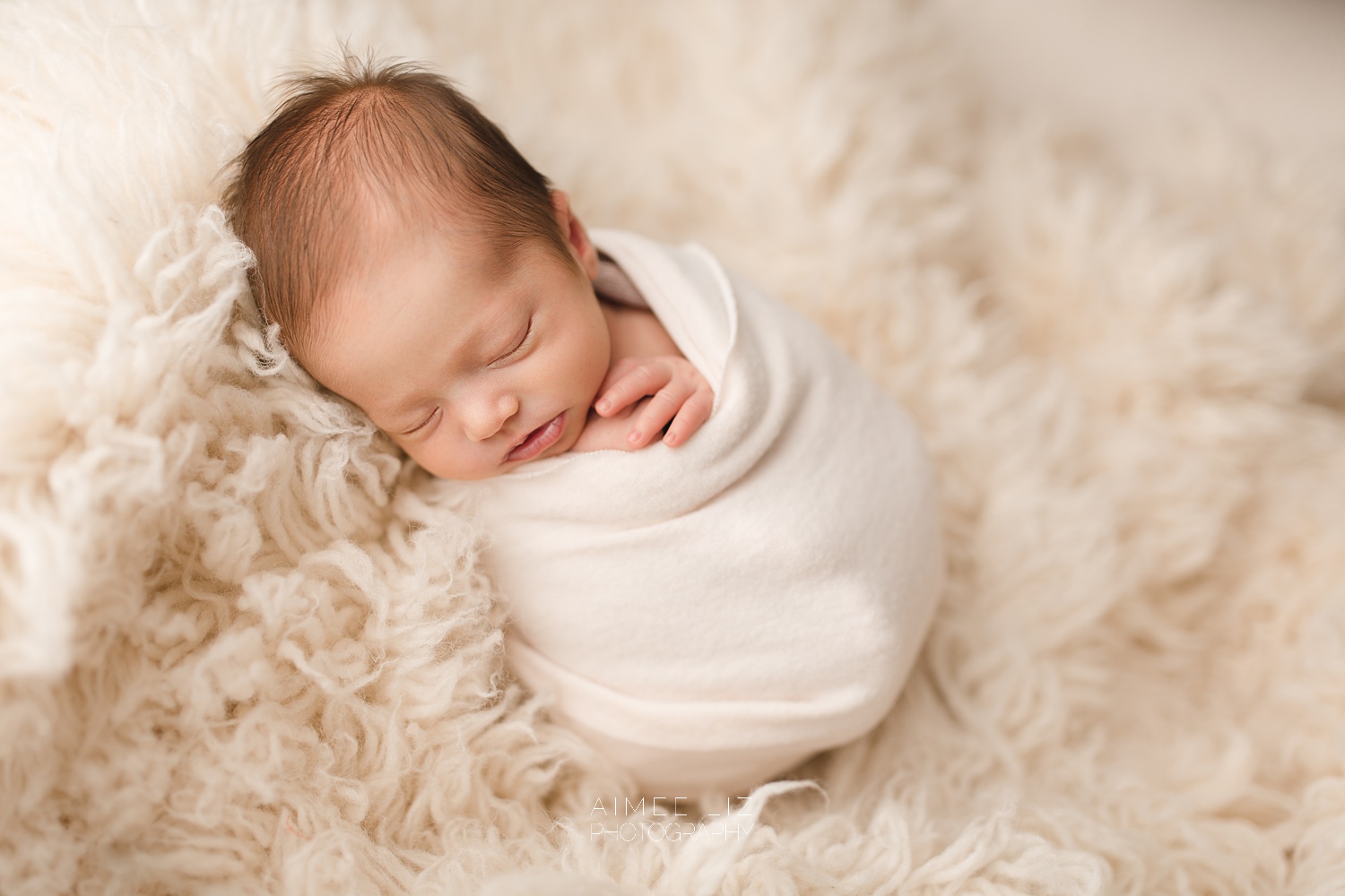 massachusetts newborn photographer