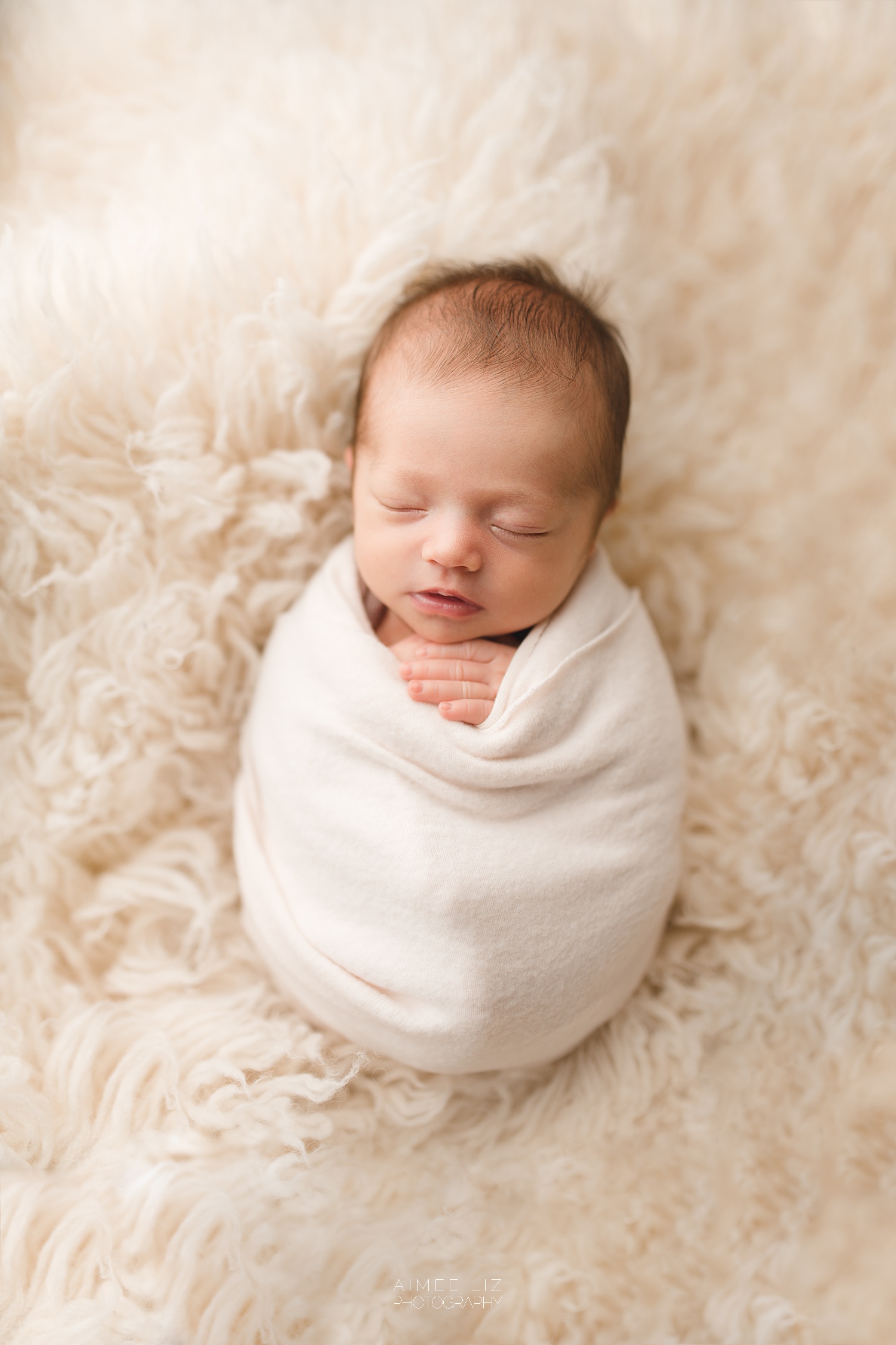 massachusetts newborn photographer