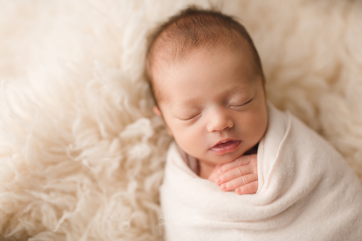 massachusetts newborn photographer