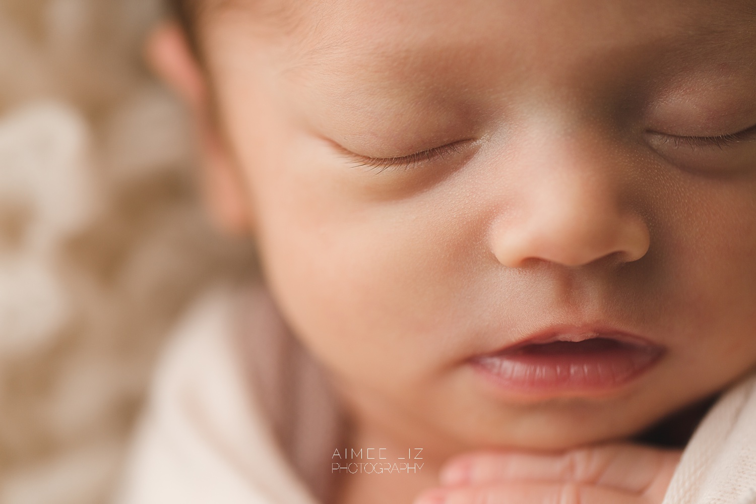 massachusetts newborn photographer