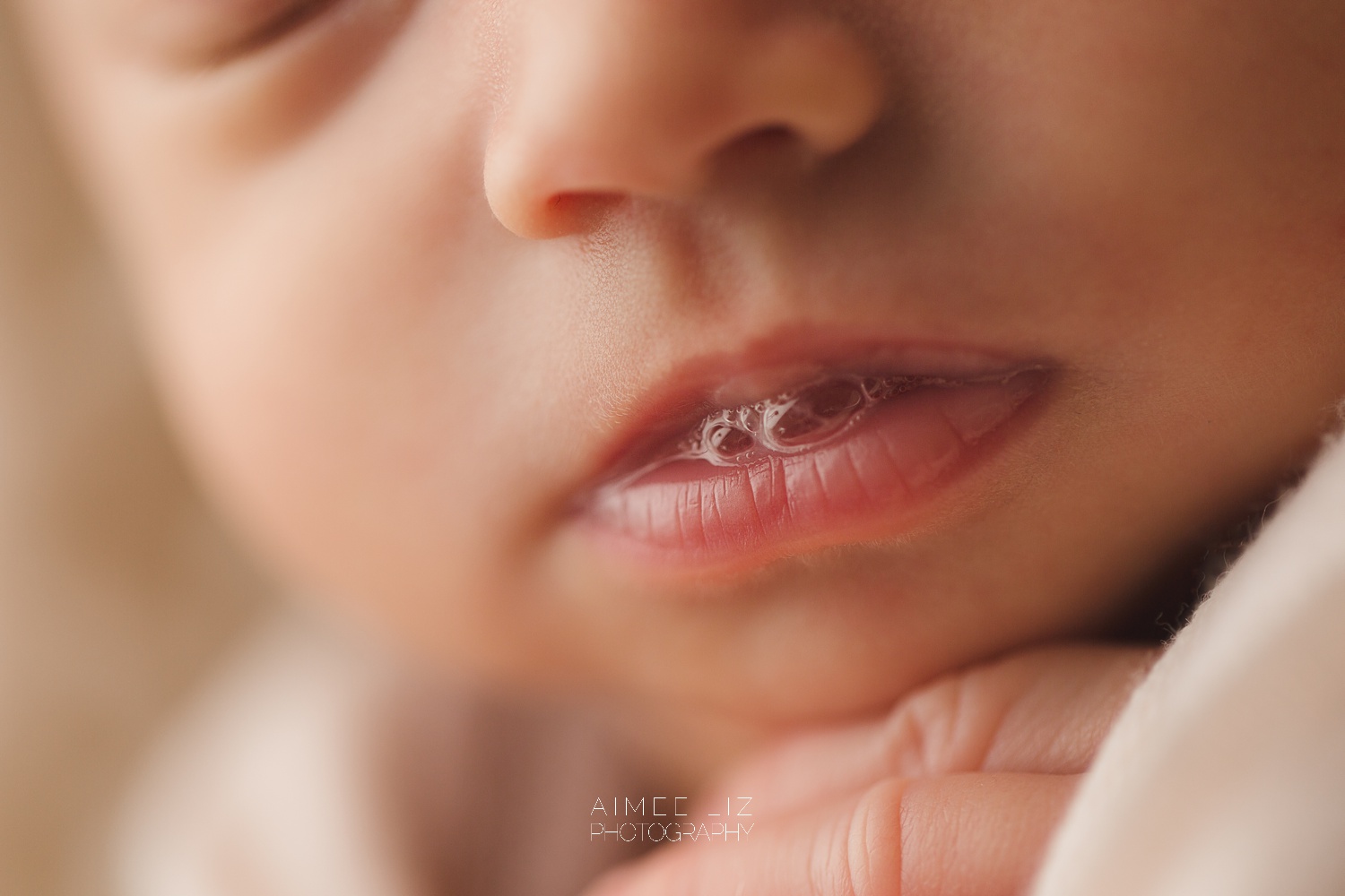 massachusetts newborn photographer